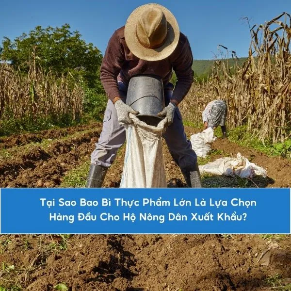 Tại Sao Bao Bì Thực Phẩm Lớn Là Lựa Chọn Hàng Đầu Cho Hộ Nông Dân Xuất Khẩu?